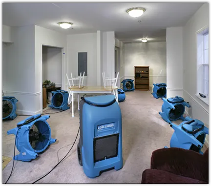 Contents Cleaning & Restoration in Canton, GA